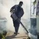 Dengue And Chikungunya Epidemics Spurred By Climate Change: WHO
