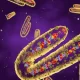 Marburg Virus Disease Is Similar To Ebola, But What Is It? Do Vaccines Exist?