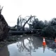 On Thursday, Severe Storms And Tornadoes Are Expected In Alabama