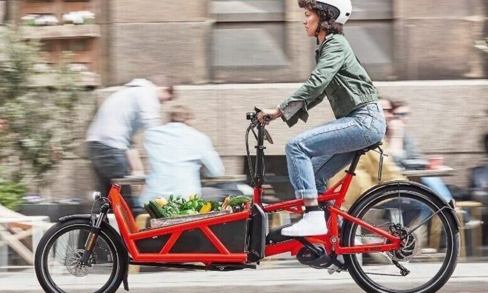 Electric cargo bikes
