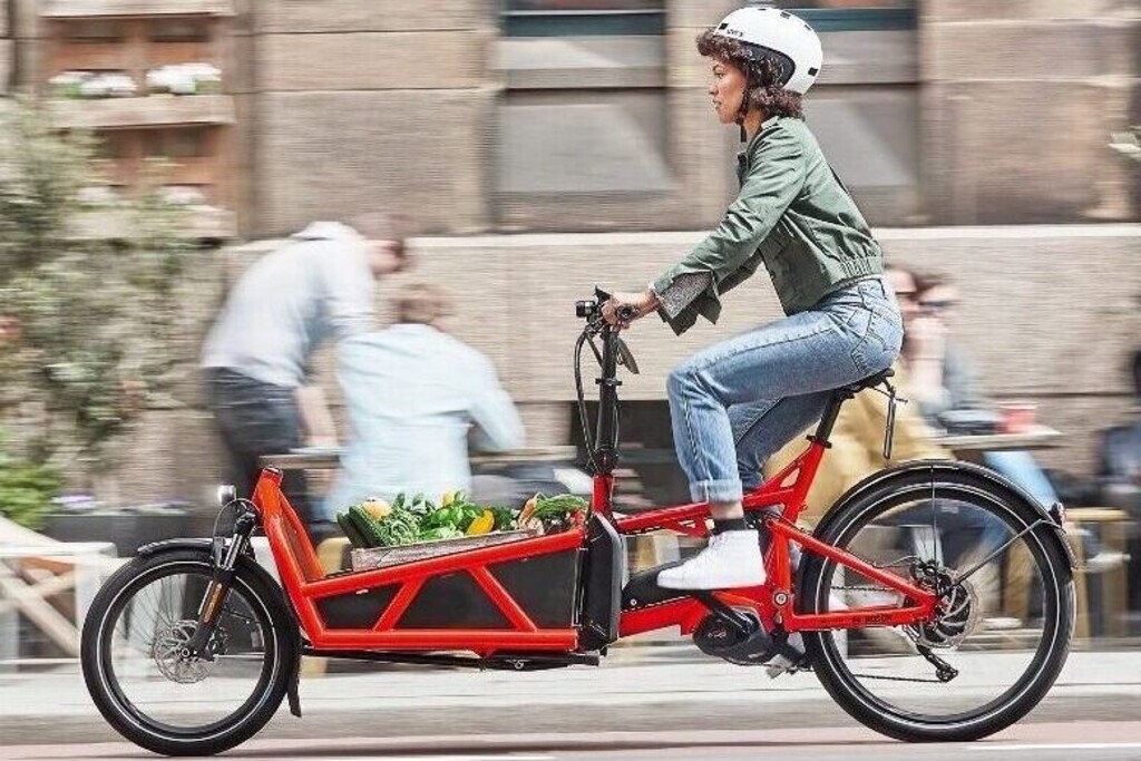 Electric cargo bikes