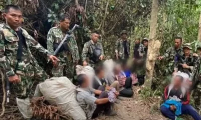Five Cambodians Arrested for Stealing Agarwood in Thailand's Khao Yai National Park