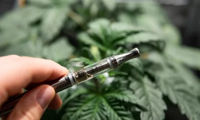 How to Properly Dispose of Weed Vaporizers