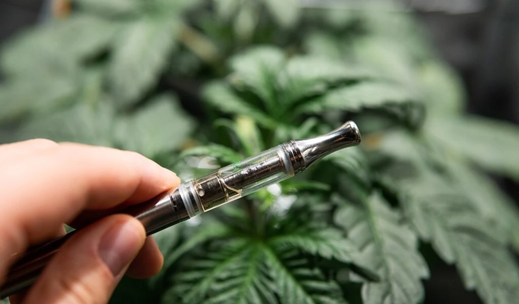 How to Properly Dispose of Weed Vaporizers