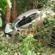 Songkran Holiday Road Accidents in Thailand Leave 114 Dead and Over 1,000 Injured