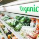 Why Organic Food Items Should Be a Pioneer Part of Your Diet