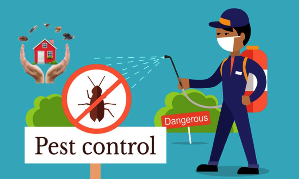 Pest Control Strategies