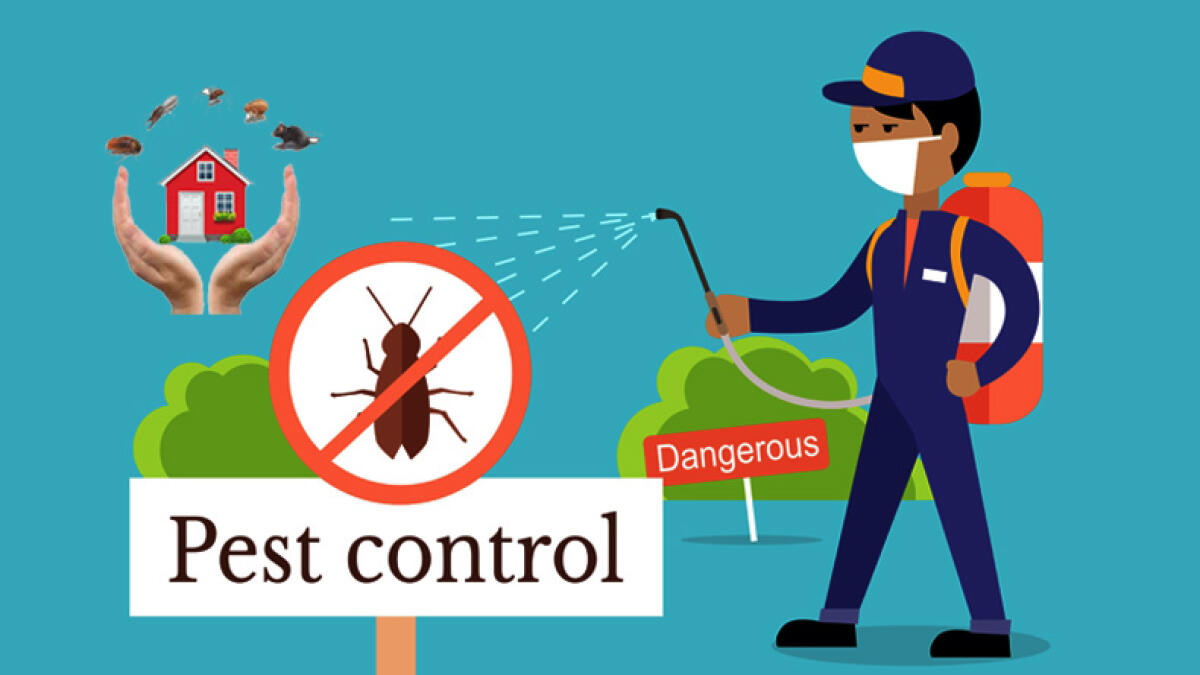 Pest Control Strategies