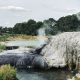 Hot Springs