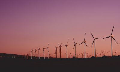 Best Carbon Offset Programs