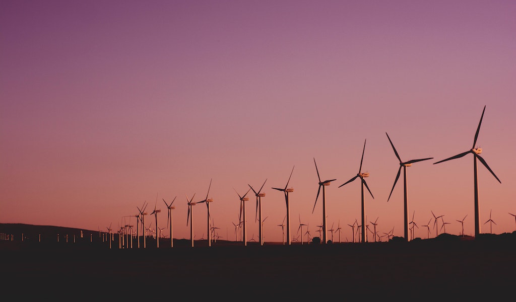 Best Carbon Offset Programs