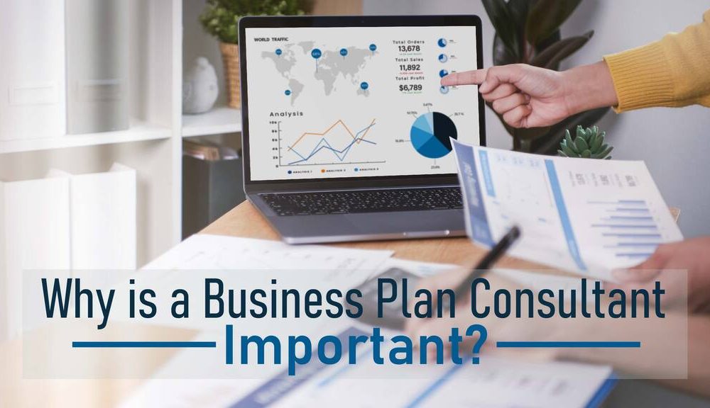 Business Plan Consultant