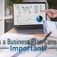 Business Plan Consultant