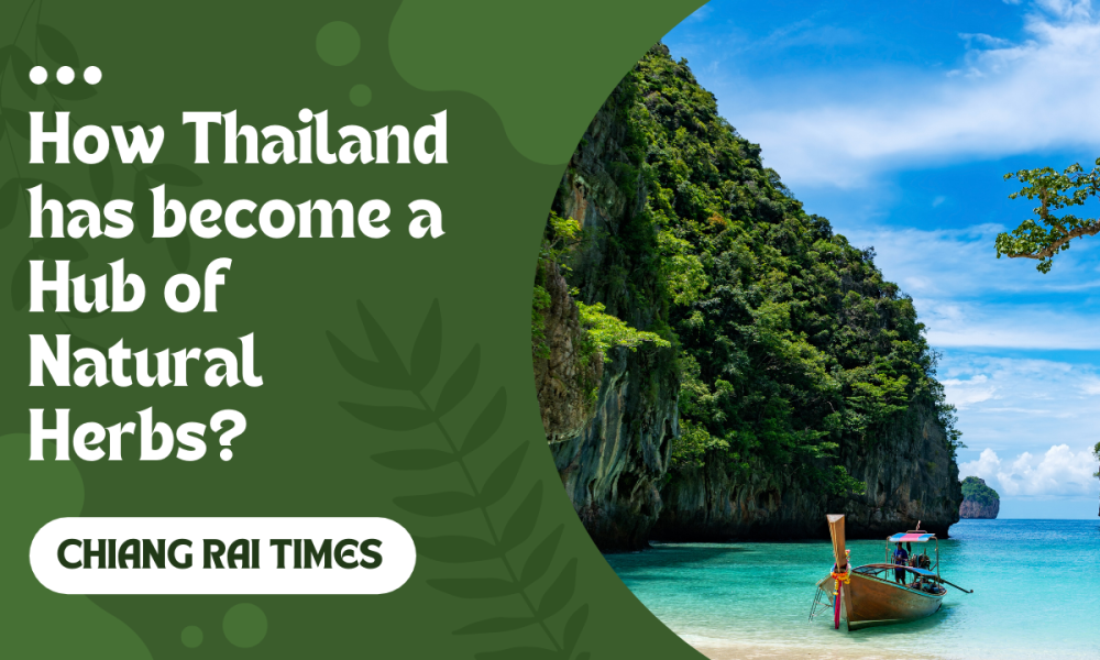 How Thailand has Become a Hub of Natural Herbs?