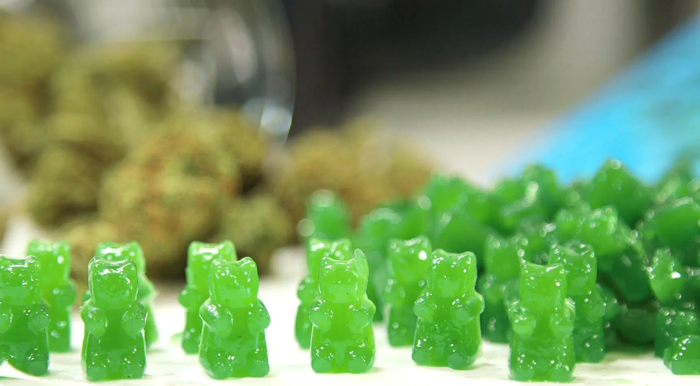CBD Oil Gummy Bears: The Sweetest Way to Enjoy the Benefits of CBD