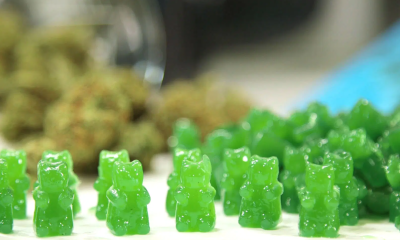 CBD Oil Gummy Bears: The Sweetest Way to Enjoy the Benefits of CBD
