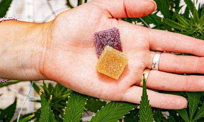 What You Need to Know About Delta 8 Gummies