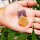 What You Need to Know About Delta 8 Gummies