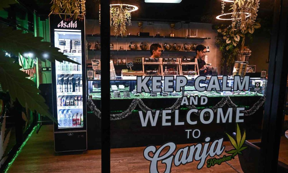 Cannabis Thailand