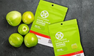 Delta 8 Gummies: Your Delicious Gateway to Relaxation and Wellness