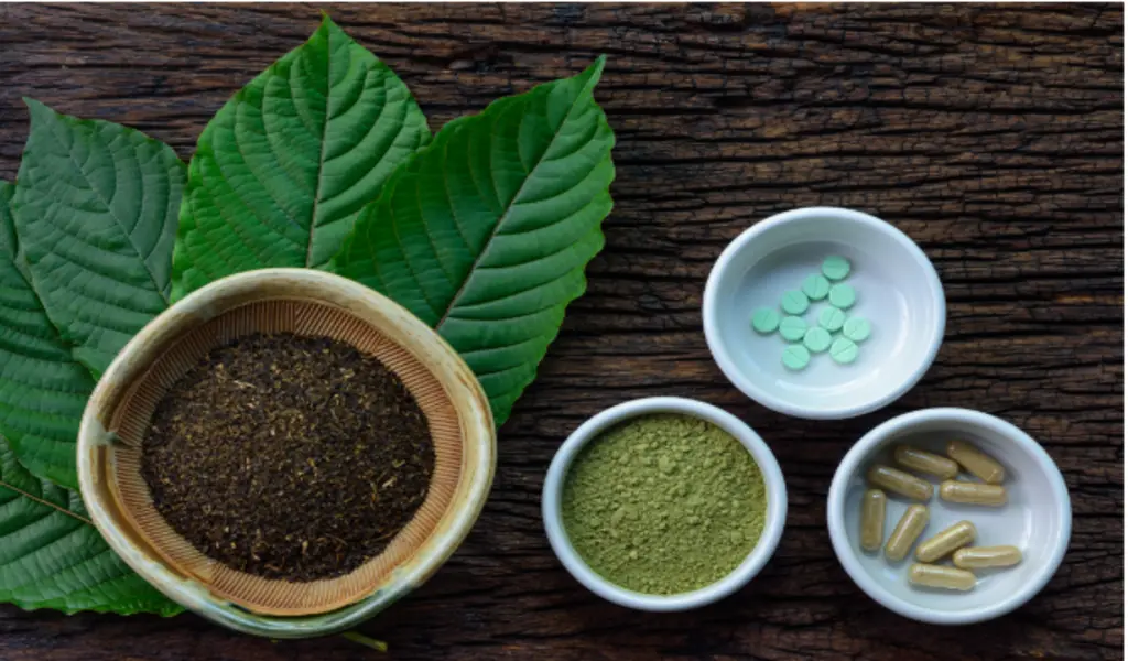 Kratom Strains: A Comprehensive Guide to the Different Varieties and Their Effects