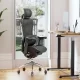 Say Goodbye to Back Pain with the Sihoo C300 Dynamic Lumbar Support Chair