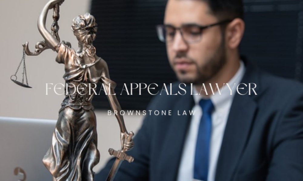 federal lawyer