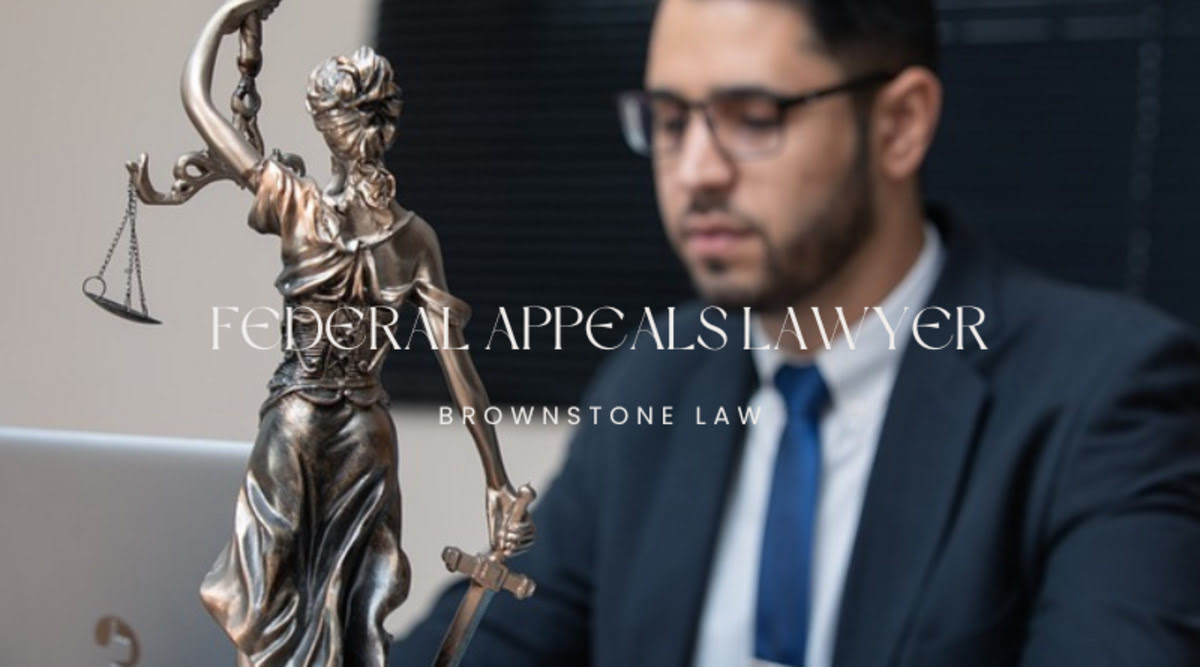 federal lawyer