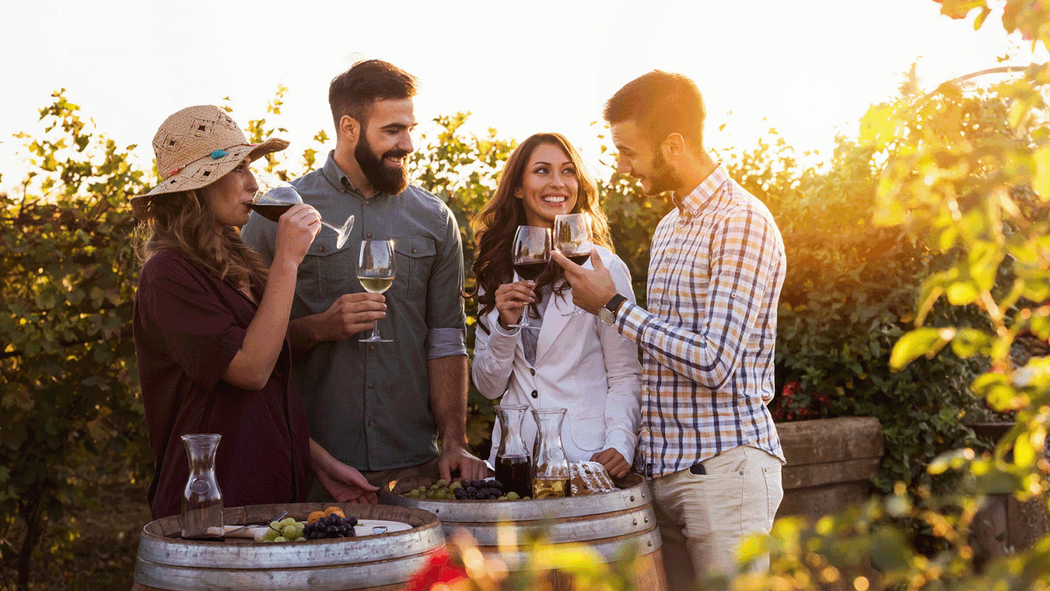 Wine Tour