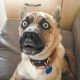 The Best Place to Find Funny Videos Online
