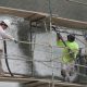 What Every Homeowner Needs to Know About Stucco