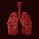 Lung Bacterial Colonization Is Also Influenced By The Host Genome