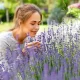 COVID-Linked Smell Loss Risk Much Lower Now: Study