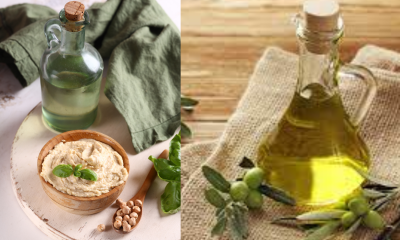 From Tree to Table: The Journey of Israeli Olive Oil