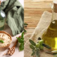 From Tree to Table: The Journey of Israeli Olive Oil