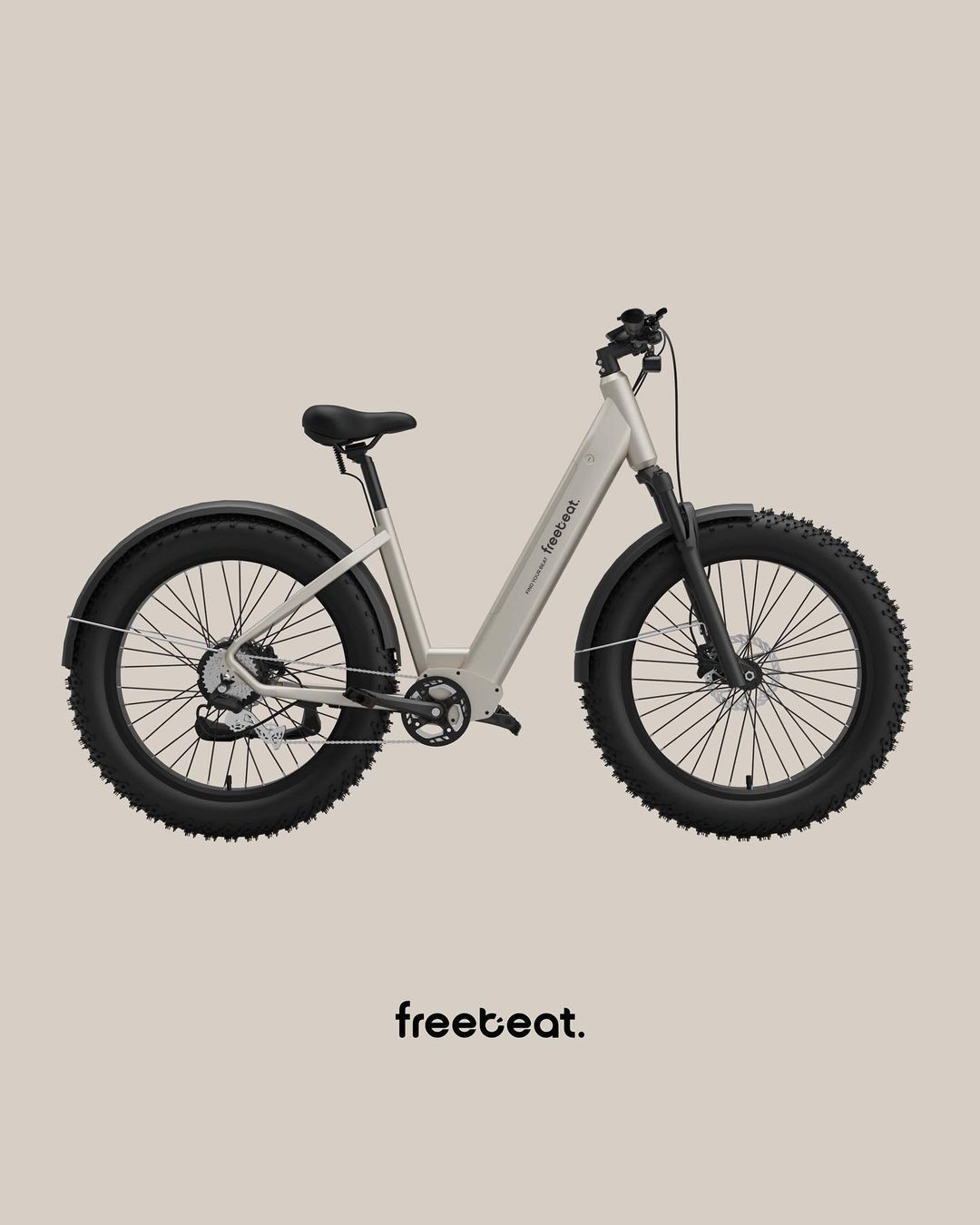 Fat Tire Electric Bike