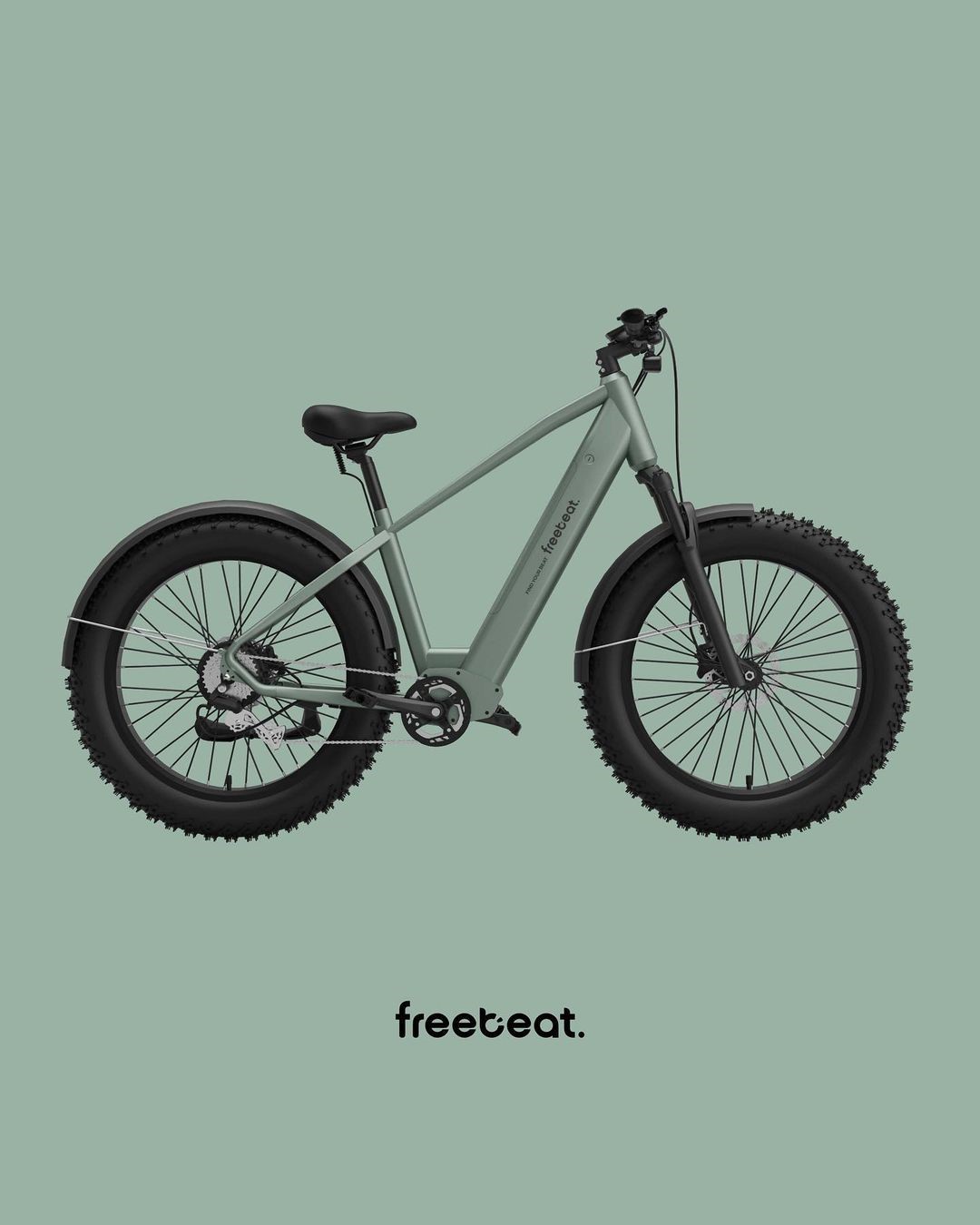 Fat Tire Electric Bike