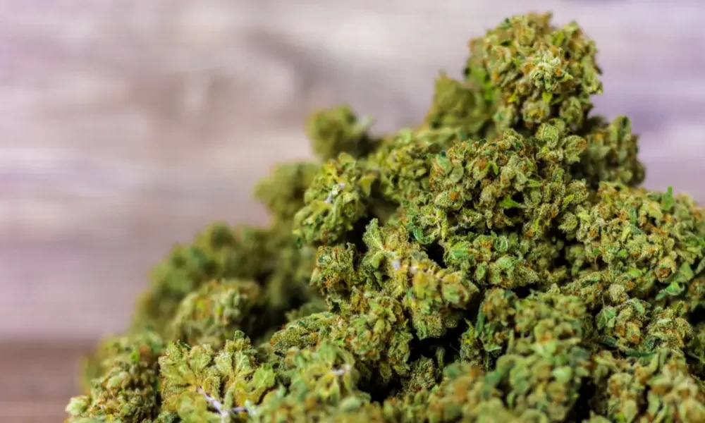 5 Best Cannabis Dispensaries You Can Find in Bangkok