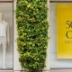 CPI Inflation Rate Below Views, Signaling Patient Fed; S&P 500 Losses