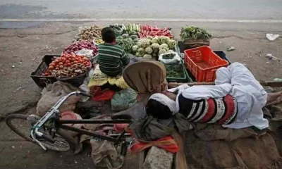 As Food Inflation Bites, India Plans To Import Wheat From Russia