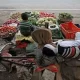 As Food Inflation Bites, India Plans To Import Wheat From Russia
