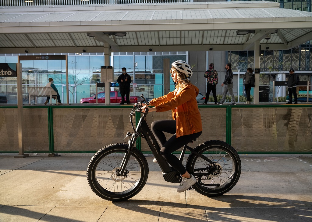 Fat Tire Electric Bike