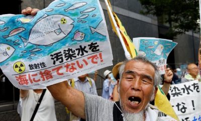 China Bans All Japanese Seafood