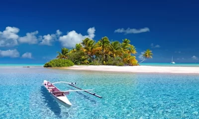 Eco-Friendly Business Travel- Navigating the Globe with a Light Carbon Footprint