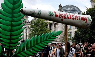 Germany to Legalize Cannabis Use for People for 18 and Older