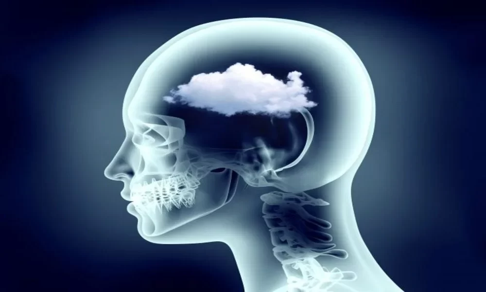 Dementia Risk Increased By Long-Term Exposure To Air Pollution