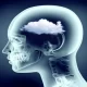 Dementia Risk Increased By Long-Term Exposure To Air Pollution