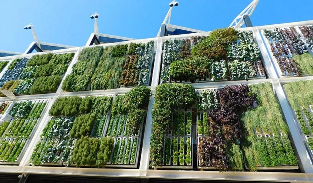Harvvesting Spaces: Architectural Innovations In Agriculture