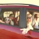 How to Prepare Your Car for a Family Road Trip: Step-By-Step Guide