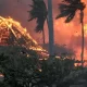 Maui Fire